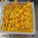 杏子开半机设备价格图片生产厂家