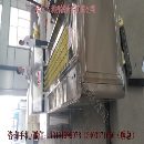 砀山黄桃去核机