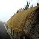 []矿山复绿植草毯施工简单出草率高。