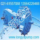 LW300-1100-10-55工程污水泵