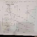 出售中捷AH110
