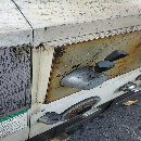 沈阳61803000