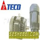 供应东元电机(TECO) 三相异步电动机