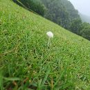 南通锻压1600吨，台面2.2米4.5米，开口2.1米，滑块行.