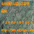 []安顺三维植被网规格最全，贵州三维植被网性能特点