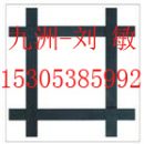 []矿山巷道支护矿用钢塑土工格栅 双抗塑料网销售