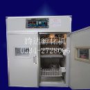 小型全自动孵化机  厂家直销孵化设备 孵化器