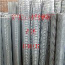 镀锌铁丝焊接网片/专业生产电焊网/安平电焊网加工厂家