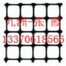 []天津煤矿开采支护塑料假顶网，40乘40塑料土工格栅网孔