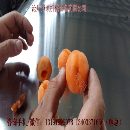 色买提杏去核机