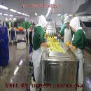黄桃去核机生产价格图片生产厂家