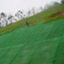 []土工网、三维植被网护坡种植绿化