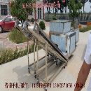 叶城粘核黄桃去核机