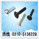 马车螺栓、马车栓、马车螺丝、半圆头方颈螺栓