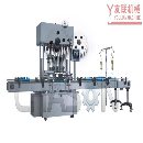 CHY-C型直线防腐双排液体灌装机