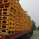 广西包装级杨木胶合板大量供应，广西包装级杨木胶合板哪里最便宜
