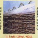 []粮膜-粮面覆盖膜-粮仓粮膜