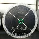 聚酯输送带