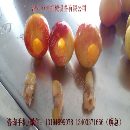 陆林桃去核机