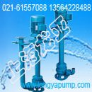 YWP200-250-22-30单管污水不锈钢泵