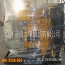 []提供物美价廉的500KW上柴柴油发电机组，型号12V135B