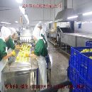 醴泉黄甘桃去核机