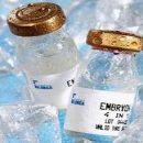 除皱，美白，菲洛嘉，青春素，四合一，单一细胞，法国