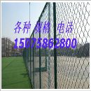 专营各种规格勾花网 体育场围栏网 养殖围栏网 镀锌菱形网-河