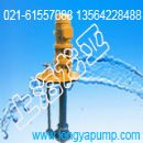80FY-80罐深度2米石灰水液下泵